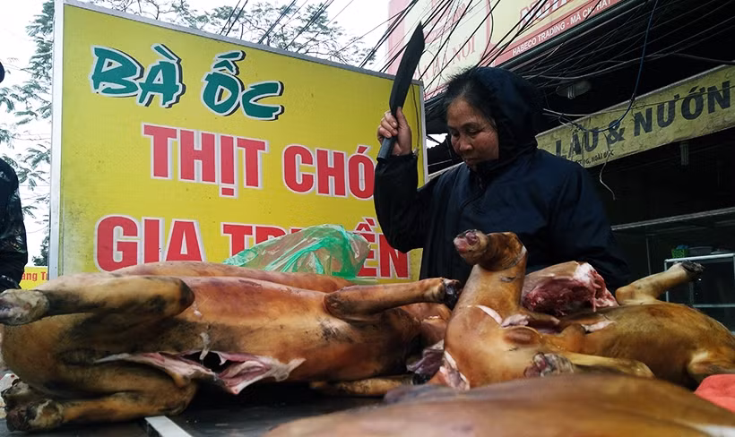 Cửa hàng bán thịt chó "Bà Ốc" trên đường 32 thuộc xã Đức Thượng...