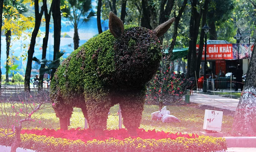 Chú lợn “siêu béo”. Lợn tượng trưng cho sự giàu có vì loài lợn rừng thường làm hang trong những khu rừng. Người mang tuổi lợn rất hào hiệp, ga ăng, tốt bụng và dũng cảm nhưng thường rất bướng bỉnh, nóng tính nhưng siêng năng và chịu lắng nghe.