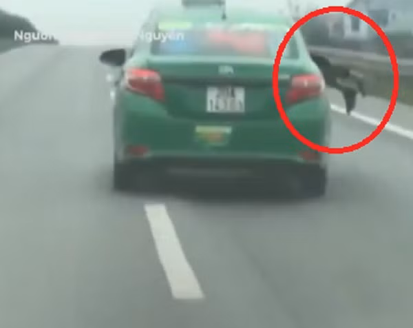 Chiếc taxi hất cảnh sát lên nắp capo.