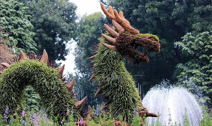 Hình tượng chú rồng lớn được đặt cạnh đài phun nước trong công viên Thống Nhất. Người tuổi rồng rất rất trung thực, năng nổ nhưng rất nóng tính và bướng bỉnh. Những người mang tuổi rồng là biểu tượng của quyền lực, sự giàu có, thịnh vượng và của hoàng tộc.