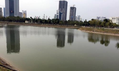 Hiện trường vụ việc.