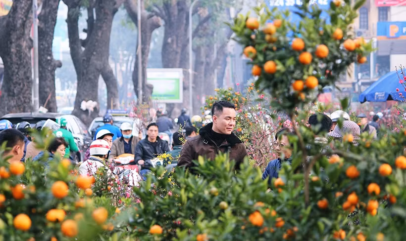 Chính vì vậy, mặc dù đã chiều 29 Tết, thế nhưng vẫn rất đông người đến mua quất đào chơi Tết.