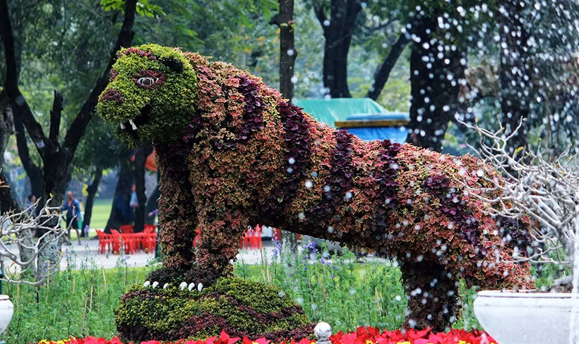 Theo ý nghĩa tượng trưng, người nào mang tuổi con giáp này này rất dễ nổi giận, thiếu lập trường nhưng họ có thể rất mềm mỏng và xoay chuyển cá tính cho thích nghi với hoàn cảnh. Hổ là chúa tể rừng xanh, thường sống về đêm và gợi lên những hình ảnh về bóng đen và giông tố.