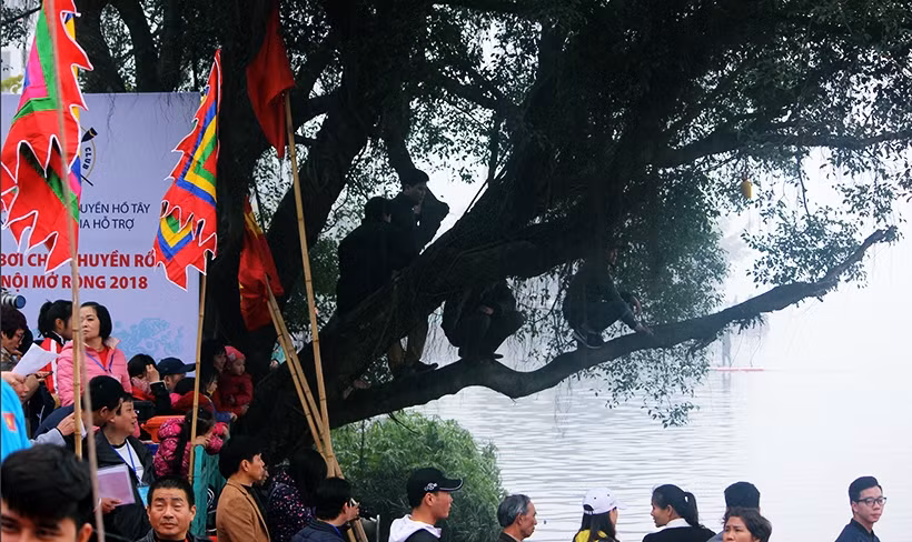 Do khu vực tổ chức đua thuyền rồng chỉ nằm trên đoạn đường Thanh Niên, trong khi nhân dân đến xem rất đông nên một số người bất chấp nguy hiểm leo lên các cành cây lớn cạnh hồ Tây để theo dõi, gây phản cảm.