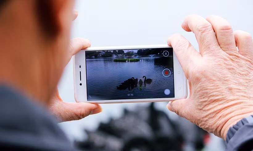 Người dân vẫn khá lạ lẫm với hình ảnh đàn thiên nga xuất hiện ở hồ Thiền Quang nên quay lại để ngắm nhìn, làm kỷ niệm.