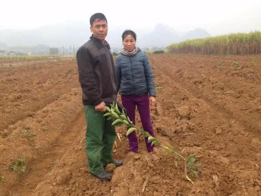 Hiện trường xảy ra vụ việc.