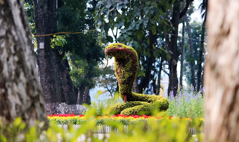 Hình tượng con rắn cuộn đuôi, vươn đầu lên cao và được đặt ở gần những gốc cây to lớn trong công viên Thống Nhất. Đối với những người tuổi rắn thì nói ít nhưng rất thông thái. Những người này thích hợp với vùng đất ẩm ướt. Bên cạnh đó, người tuổi rắn rất điềm tĩnh, hiền lành, sâu sắc và cảm thông nhưng thỉnh thoảng cũng hay nổi giận. Họ rất kiên quyết và cố chấp. Rắn tượng trưng cho sự tiến hóa vĩnh cửu của tuổi tác và sự kế vị.