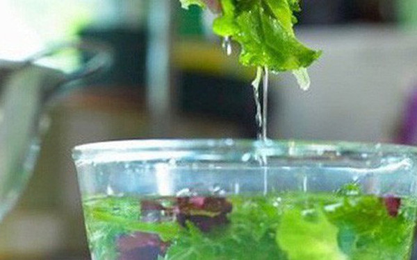 Không những vậy, ngâm rau trong nước quá lâu còn tạo cơ hội khiến các loại hóa chất hấp thụ ngược lại, khiến rau “ngậm” hóa chất gây hại.