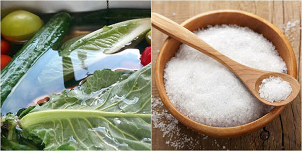 Không những vậy, nồng độ muối quá cao có thể phá hủy tế bào biểu bì thực vật, cho phép các chất ô nhiễm thâm nhập vào rau gây hại cho sức khỏe và gây ô nhiễm thứ cấp.