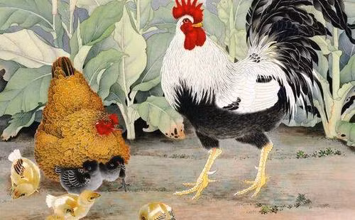 Tuổi Dậu gần đây năng lực thể hiện rất tốt nên có nhiều cơ hội nhảy việc. Nếu không, hãy thử tìm một công việc kinh doanh làm thêm ngoài giờ, tình hình tài chính sẽ khởi sắc đáng kể.