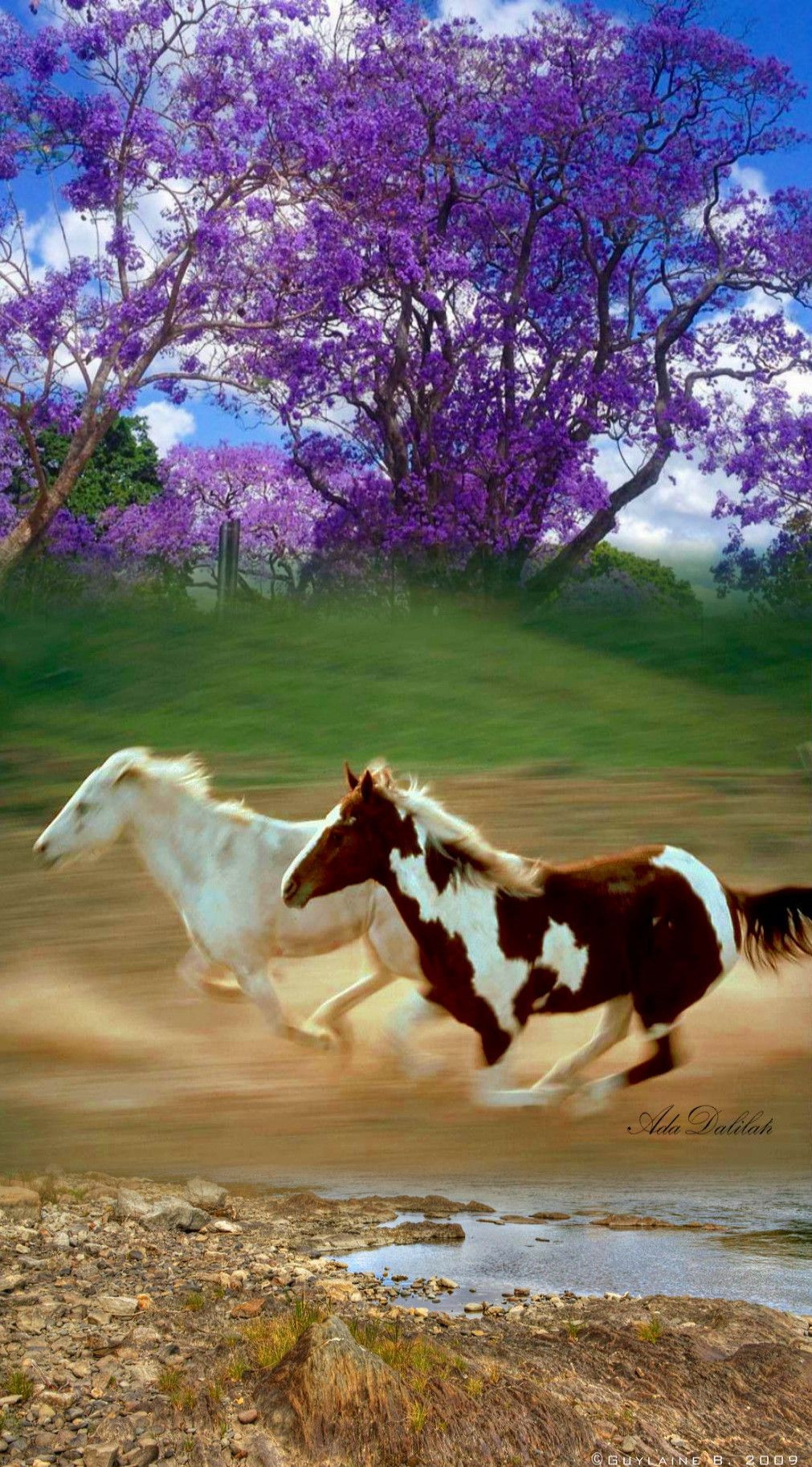 Hôm nay không thích hợp cho tuổi Ngọ nhảy việc, hãy chờ thời điểm thích hợp. Duy trì công việc kinh doanh hiện tại, con giáp có lợi nhuận khổng lồ.