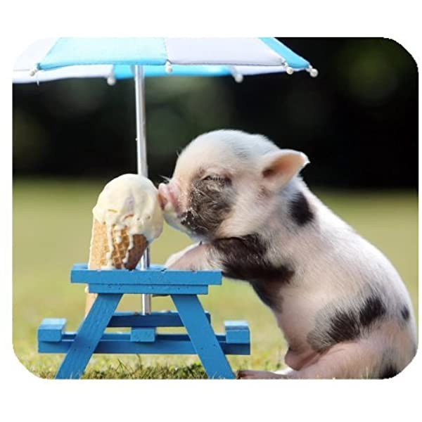 Tuổi Hợi sẽ có nhiều điều tốt lành xảy ra trong sự nghiệp, ngay cả khi gặp khó khăn, hãy nhờ người giúp đỡ, con giáp sẽ đạt kết quả. Được khách hàng cũ giới thiệu, việc kinh doanh của con giáp có thêm lợi nhuận. Tuổi Hợi còn độc thân sẽ gặp duyên lành, con giáp đã có một nửa dễ nhận được quà của người ấy. (*Thông tin chỉ mang tính chất chiêm nghiệm, trắc nghiệm vui).