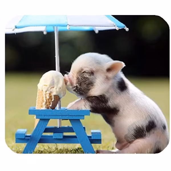 Tuổi Hợi sẽ có nhiều điều tốt lành xảy ra trong sự nghiệp, ngay cả khi gặp khó khăn, hãy nhờ người giúp đỡ, con giáp sẽ đạt kết quả. Được khách hàng cũ giới thiệu, việc kinh doanh của con giáp có thêm lợi nhuận. Tuổi Hợi còn độc thân sẽ gặp duyên lành, con giáp đã có một nửa dễ nhận được quà của người ấy. (*Thông tin chỉ mang tính chất chiêm nghiệm, trắc nghiệm vui).