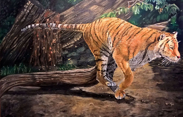 Nguyên nhân chính là do tuổi Dần đã rơi vào thế nghẽn, không đuổi kịp lớp trẻ cả về tư tưởng và tri thức. Vì vậy, những người cầm tinh con hổ nếu muốn hóa giải thì nên bình tĩnh, cải thiện năng lực bản thân để tăng sức cạnh tranh.