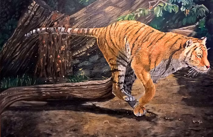 Nguyên nhân chính là do tuổi Dần đã rơi vào thế nghẽn, không đuổi kịp lớp trẻ cả về tư tưởng và tri thức. Vì vậy, những người cầm tinh con hổ nếu muốn hóa giải thì nên bình tĩnh, cải thiện năng lực bản thân để tăng sức cạnh tranh.