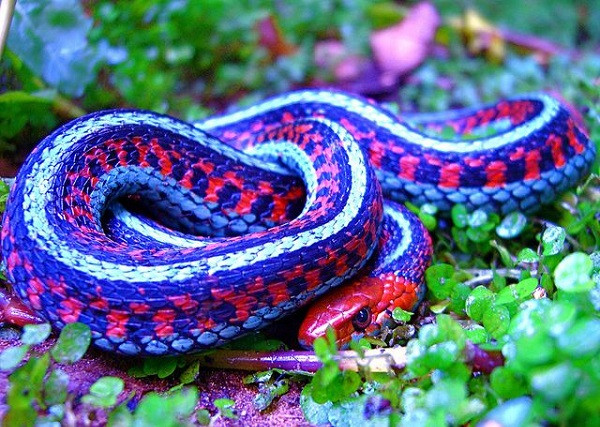 Những người tuổi Tỵ muốn hóa giải tình trạng này, trước hết tự bản thân phải biết sống khoa học, quan tâm đến sức khỏe. Đừng vì quá ham kiếm tiền, để rồi bao nhiêu tiền lại phải đổ vào bệnh viện.