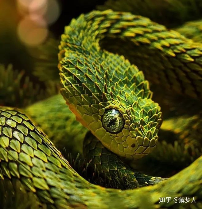 Tuổi Tỵ có một ngày làm việc nhàn hạ, đừng vì vậy mà thiếu cảnh giác, có thể bị đối thủ tìm cách phá hoại. Hào phóng là tốt nhưng con giáp chớ vì quá sĩ diện mà tiêu tiền vô ích.