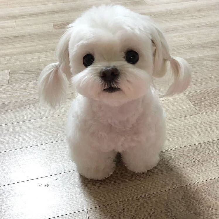 Tuổi Tuất quan hệ tốt với khách hàng nên công việc có nhiều tiến triển. Nhờ vậy, tài lộc của con giáp cũng khởi sắc, kiếm được nhiều khoản lợi nhuận nhỏ.