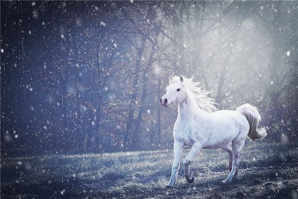 Tuổi Ngọ hôm nay kỹ năng giao tiếp mạnh mẽ, giúp công việc phát triển nhanh chóng. Con giáp đừng vội mở rộng đầu tư, vì Thần Tài đang không mỉm cười với bạn.