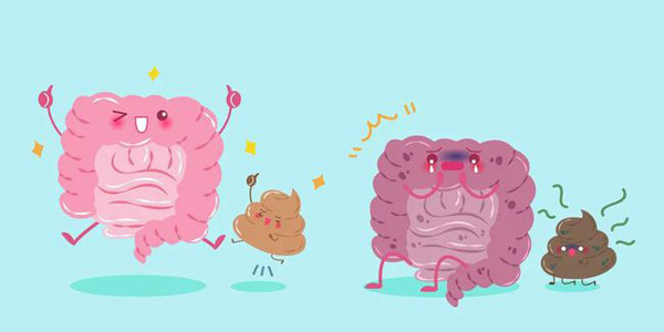 Phân màu đỏ, dính máu. Phân chuyển màu đỏ hoặc dính vệt máu có thể là dấu hiệu của tình trạng xuất huyết tiêu hóa. Tùy vào lượng máu chảy ra mà màu sắc phân có màu đỏ hoặc đen.