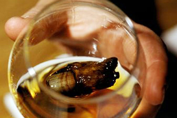 Cho đến nay, nguồn gốc của ngón chân khô chưa được làm rõ. Để trở thành thành viên của câu lạc bộ, người mới sẽ phải hoàn thành nghi thức với Cocktail Sourtoe. Cụ thể, người này sẽ phải uống hết phần rượu whisky sao cho môi chạm vào ngón chân song không được nuốt nó.