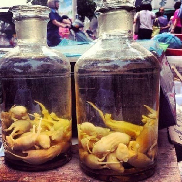 Rượu chuột bao tử. Rượu chuột bao tử là loại rượu bia độc dị, được nhiều người rỉ tai như một “thần dược” trong việc tăng cường sinh lực nam giới. Nhiều người cũng tin rằng chuột bao tử hay các loại bào thai động vật chứa hàm lượng đạm cao, giàu sinh tố và khoáng chất. Chúng rất hữu ích trong việc bổ khí, dưỡng huyết, chữa các chứng hư lao, suy nhược, thận hư tinh kém, đau lưng, mỏi gối...