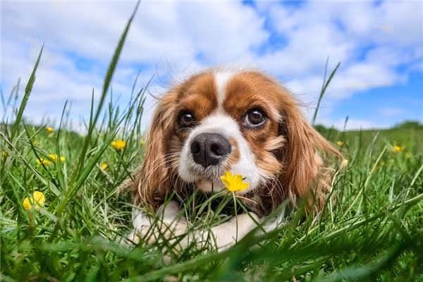 Từ đây, con giáp chỉ cần giữ vững tốc độ, may mắn sẽ giúp mọi việc kiếm được nhiều tiền hơn. Công việc thuận lợi, tình cảm gia đình cũng quay về quỹ đạo, thuận hòa ấm êm hơn lúc nào. (*Thông tin chỉ mang tính chất chiêm nghiệm, trắc nghiệm vui).