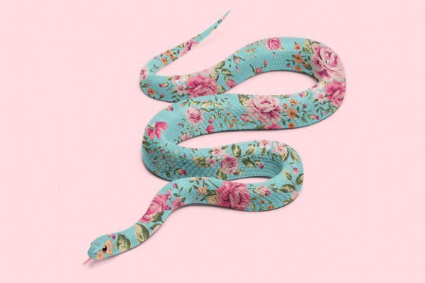 Tuổi Tỵ có một ngày làm việc hanh thông. Tuy nhiên con giáp vẫn chi tiêu quá tay so với khả năng kiếm được, nếu không biết cách tiết kiệm bao công sức cũng bỏ sông bỏ bể.