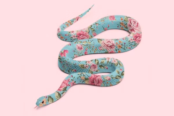 Tuổi Tỵ có một ngày làm việc hanh thông. Tuy nhiên con giáp vẫn chi tiêu quá tay so với khả năng kiếm được, nếu không biết cách tiết kiệm bao công sức cũng bỏ sông bỏ bể.