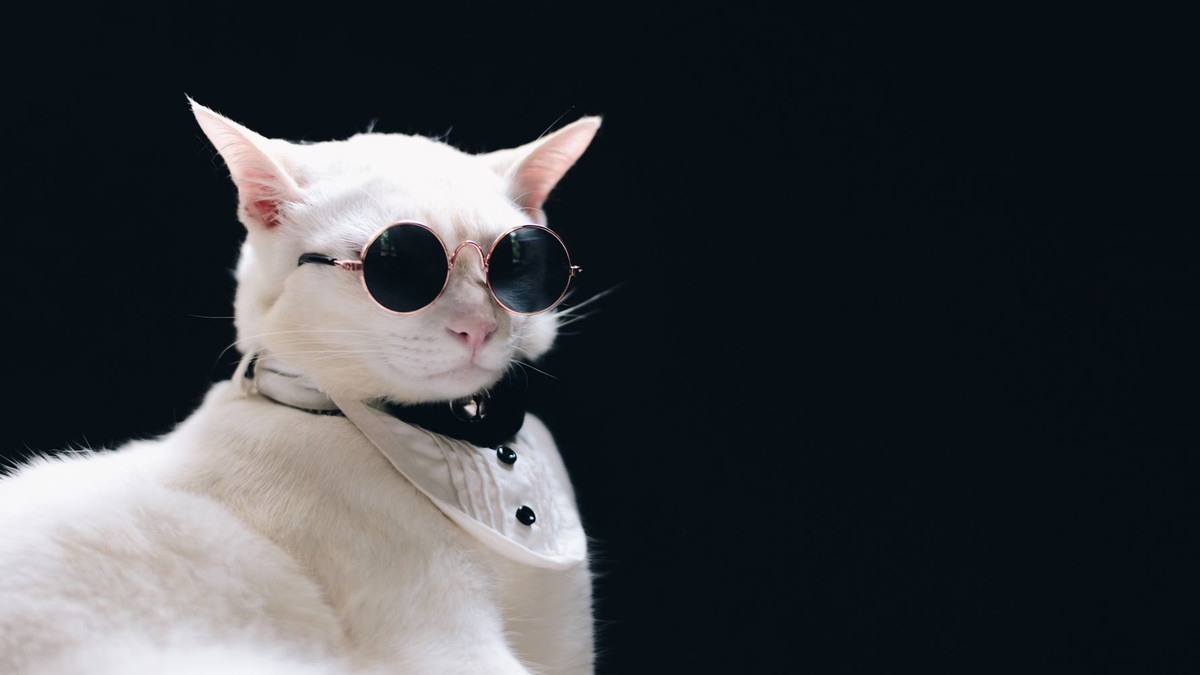 Tuổi Mão không nên nói nhiều, tránh để lộ thông tin quan trọng với đối thủ. Con giáp hôm nay có khả năng trúng thưởng, tiền bạc kiếm được rất khả quan.