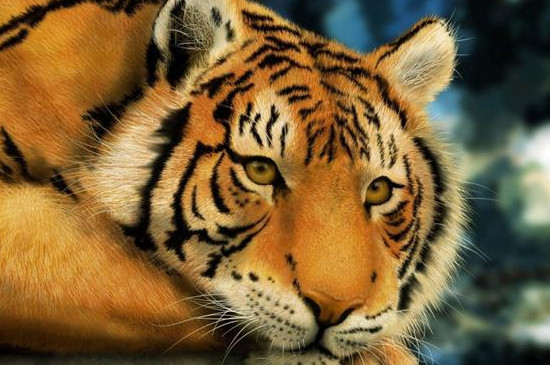 Tuổi Dần phát huy được năng lực cá nhân, góp phần thúc đẩy sự nghiệp thăng tiến và thu thêm lợi nhuận. Tiền bạc tìm về theo đúng tài năng của con giáp, quản lý tốt dự án tài chính sẽ giúp tuổi Dần thu về lợi lộc lớn.