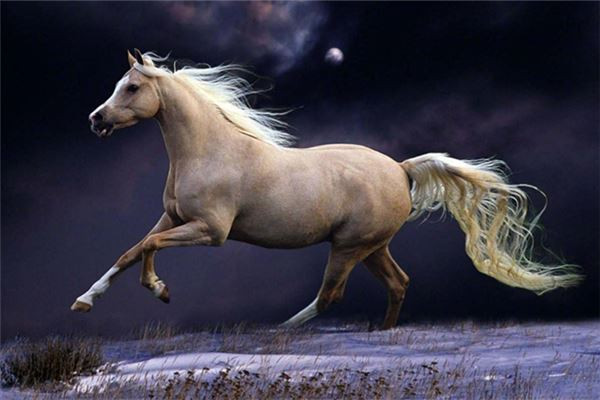 Tuổi Ngọ tập trung hoàn thành tốt các nhiệm vụ cấp trên giao phó sẽ được ghi nhận năng lực. Con giáp hạn chế chi tiêu hôm nay, dễ hao tài tốn của.