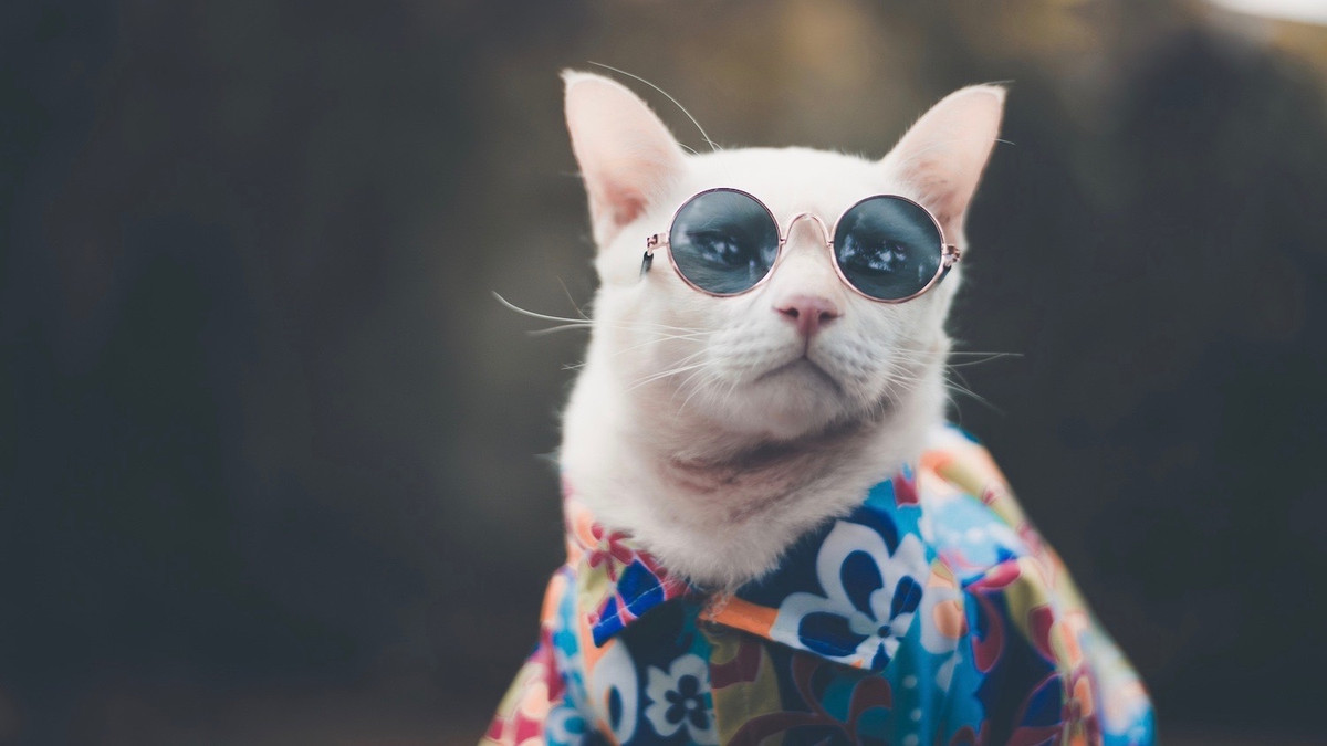 Tuổi Mão có bước thăng tiến trong sự nghiệp. Việc kinh doanh làm ăn phát đạt giúp thu nhập của con giáp tăng cao.