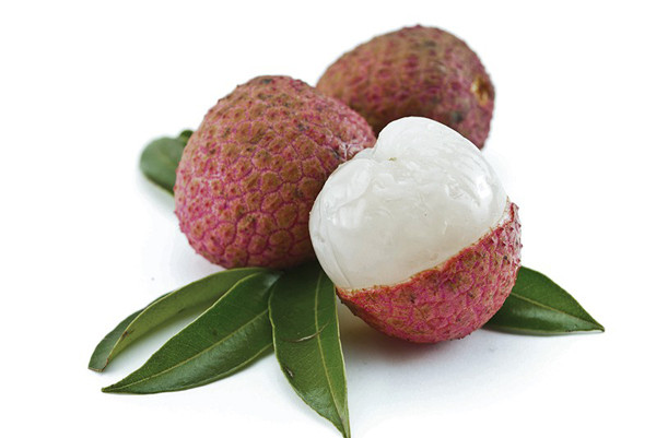 Khi ăn cần chú ý ăn cả lớp màng trắng và phần trắng trên đầu quả vải vì những phần này có tác dụng giảm sinh hỏa trong cơ thể. Ảnh: Internet.