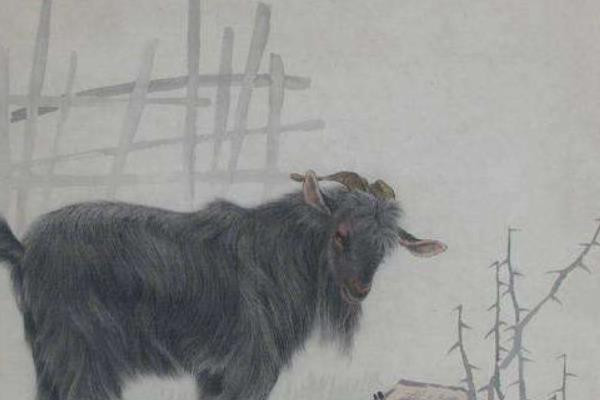 Hôm nay là ngày thích hợp cho tuổi Mùi hợp tác dự án hay xin việc. Quý nhân giúp đỡ khiến con giáp làm việc gì cũng sẽ thuận lợi. Từ đây hầu bao con giáp cũng sẽ căng đầy.