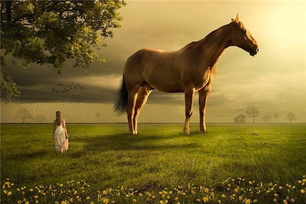 Tuổi Ngọ có một ngày làm việc khá dễ dàng, đừng vì thế mà mải chơi, hãy tranh thủ lên kế hoạch lâu dài để thể hiện được khả năng của bạn. Cần nỗ lực để có cơ hội phát triển, kiếm tiền nếu không muốn mãi dẫm chân tại chỗ.