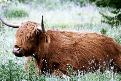 Dự đoán cho 12 con giáp nhận thấy tuổi Sửu cẩn thận đi muộn ảnh hưởng công việc. Hôm nay con giáp cho mượn tiền sẽ khó đòi, hãy suy xét kỹ.