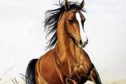 Tuổi Ngọ công việc có thể gặp trắc trở, dễ xảy ra tranh chấp. Con giáp đừng mải tranh cãi đúng sai, hãy âm thầm chờ đợi thời cơ đến. Tuần này tuổi Ngọ dễ hao tài tốn của, hãy coi như của đi thay người. Con giáp được an ủi trong chuyện tình cảm, nếu có người mới xuất hiện, hãy nắm lấy cơ hội.