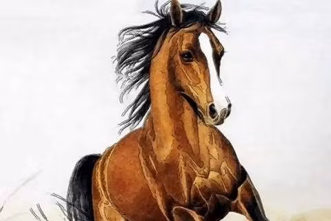 Tuổi Ngọ công việc có thể gặp trắc trở, dễ xảy ra tranh chấp. Con giáp đừng mải tranh cãi đúng sai, hãy âm thầm chờ đợi thời cơ đến. Tuần này tuổi Ngọ dễ hao tài tốn của, hãy coi như của đi thay người. Con giáp được an ủi trong chuyện tình cảm, nếu có người mới xuất hiện, hãy nắm lấy cơ hội.