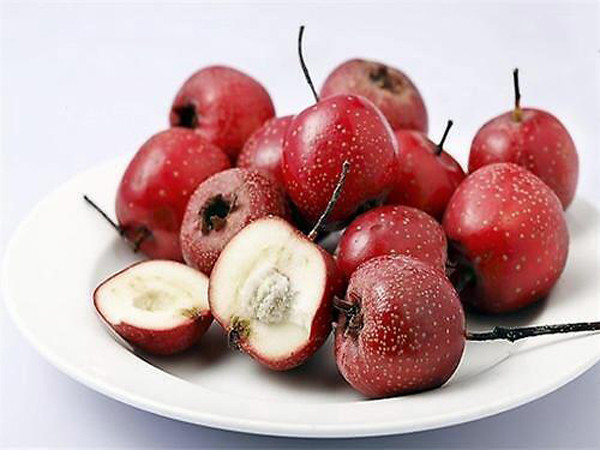 Táo gai. Táo gai được đánh giá cao để bồi dưỡng cơ thể. Nó cũng tốt cho lá lách, kích thích tiêu hóa thức ăn.