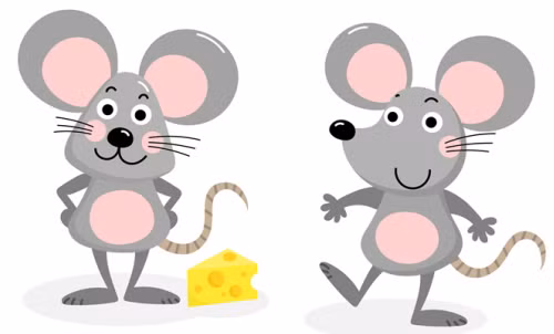 Theo dự đoán cho 12 con giáp, tuổi Tý tài năng, hóm hỉnh. Trong công việc, con giáp khôn khéo và linh hoạt, nên thường có những ý tưởng mà người bình thường không thể nghĩ ra để vượt qua tình huống khó khăn.