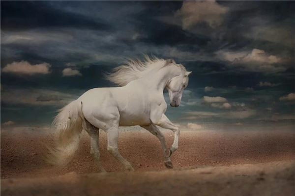 Tuổi Ngọ là người siêng năng, hiếu học, có thể bù đắp khuyết điểm bằng sự chăm chỉ, dần cải thiện bản thân ngày càng tốt hơn. Đây là người được sếp đánh giá cao nơi làm việc. Họ không bao giờ lười biếng, sa đà, luôn làm việc chăm chỉ. Con giáp luôn có tâm lý làm việc có trách nhiệm, không bao giờ coi công việc là việc của người khác.