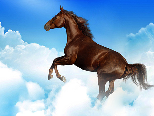 Tuổi Ngọ trong 10 ngày tới dễ bị tiểu nhân phá hoại, gây ảnh hưởng đến công việc hoặc tiền bạc. Tại nơi làm việc, con giáp dễ bị cô lập, chèn ép, khiến bản thân bức xúc, dẫn tới những lời nói, hành động không đáng có.