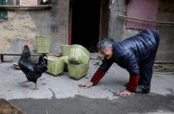 Bên cạnh đó, đứng thẳng còn khiến con người có khả năng bao quát, “nhìn xa trông rộng” để phát hiện nguy hiểm. Nhờ vậy, khả năng sinh tồn cũng cao hơn. Nguyên nhân nào khiến “làng bò” kì lạ đi ngược sự phát triển chung của loài người?