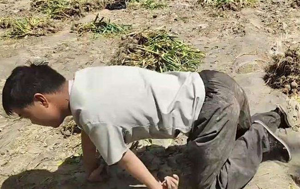 Sau đó, các nhà khoa học tin rằng hiện tượng di chuyển bằng 4 chi có thể bắt nguồn từ thực trạng hôn nhân cận huyết.