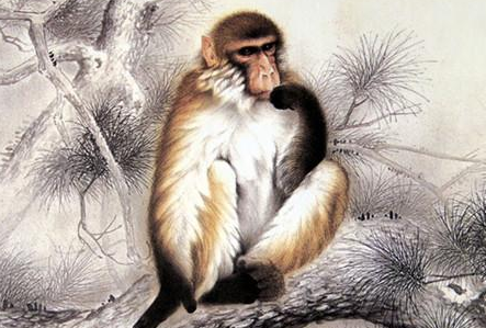 Tuổi Thân cần mềm mỏng, linh hoạt, quá ép buộc nơi làm việc có thể khiến mọi việc rắc rối hơn. Tài vận tăng tiến, con giáp hãy thử sức với những dự án kiếm tiền mới.