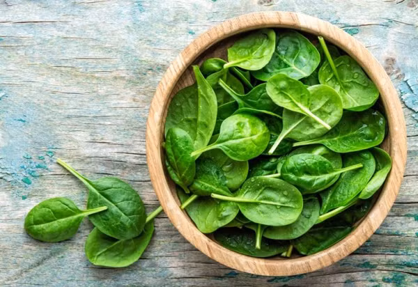 Rau bina được đánh giá là một trong những loại rau chứa lượng axit oxalic hàng đầu. Theo tính toán, 100g rau bina có chứa 1333g axit oxalic, vì vậy không nên ăn nhiều cải bó xôi, nên chần sơ qua trước khi ăn. Ảnh: Internet.