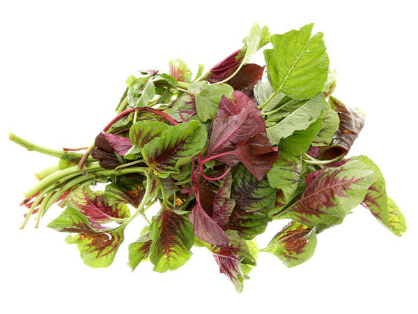 Rau dền. Rau dền chứa nhiều hợp chất chống oxy hóa như vitamin E, C, sắt, magiê, phốt pho, lysin... Các nhà khoa học cho rằng, khi đi vào cơ thể, chất chống oxy hóa có khả năng giúp chống lại các gốc tự do có hại và ngăn chặn sự hình thành của các tế bào ác tính gây ra ung thư.