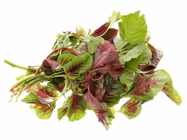 Rau dền. Rau dền chứa nhiều hợp chất chống oxy hóa như vitamin E, C, sắt, magiê, phốt pho, lysin... Các nhà khoa học cho rằng, khi đi vào cơ thể, chất chống oxy hóa có khả năng giúp chống lại các gốc tự do có hại và ngăn chặn sự hình thành của các tế bào ác tính gây ra ung thư.