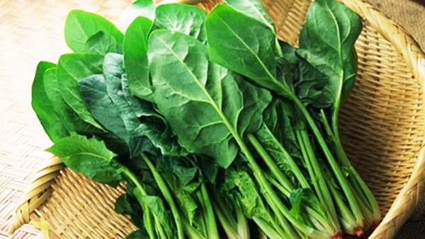 Rau bina. Rau bina giàu sắt, vitamin C, A giúp cơ thể tăng sức đề kháng. vitamin K, canxi tốt cho xương và răng. Ngoài ra, rau bina còn chứa nhiều vitamin C, E, arotenoid có tác dụng chống oxy hóa rất mạnh, giúp khống chế được các tế bào ác tính trong cơ thể.